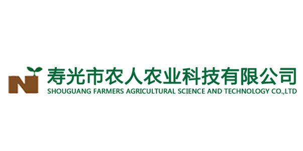 网站建设